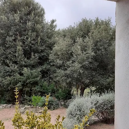 Bel En Rez De Jardin à Corse Du Sud Apartamento